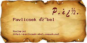 Pavlicsek Ábel névjegykártya